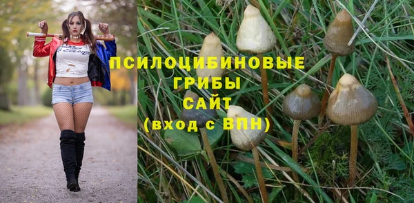 марки nbome Алзамай