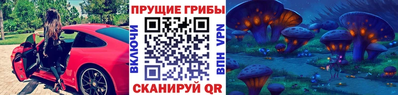 купить закладку  Абинск  Псилоцибиновые грибы ЛСД 